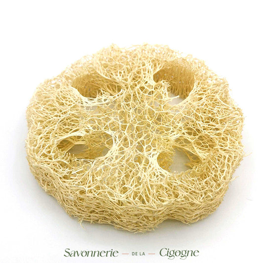 Luffa